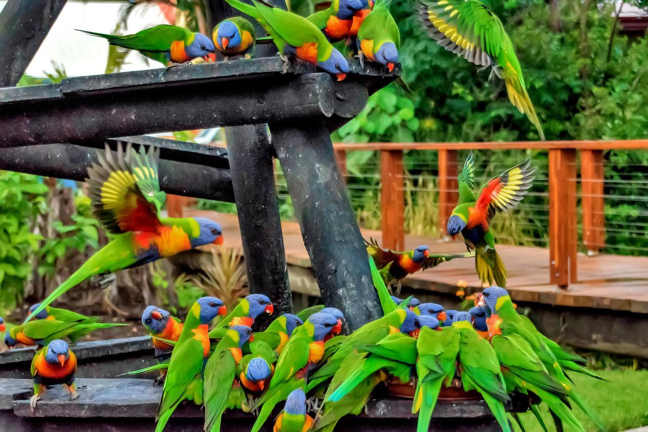 Discovery Parks - Airlie Beach Bagian luar foto